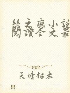 丝之恋小说免费阅读全文最新章节