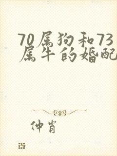 70属狗和73属牛的婚配好不好