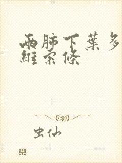 两肺下叶多发纤维索条