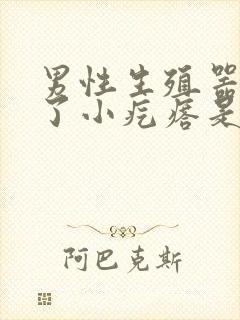 男性生殖器上长了小疙瘩是怎么回事