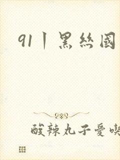 91丨黑丝国产