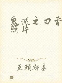 鬼灭之刃香奈乎照片