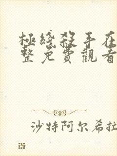 极线杀手在线完整免费观看中文封面