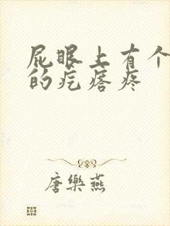 屁眼上有个硬硬的疙瘩疼