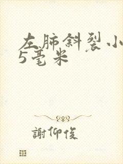 左肺斜裂小结节5毫米