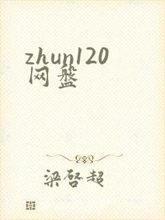 zhun120网盘