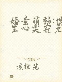 婚意萌动:傅先生心尖宠免费阅读全文全文封面