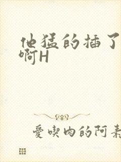 他猛的插了进去啊H