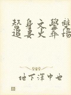 替身文学双男主追妻火葬场推荐封面