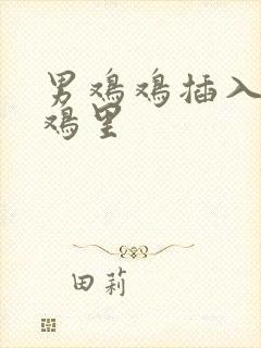 男鸡鸡插入女鸡鸡里