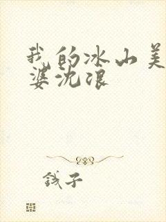我的冰山美女老婆沈浪封面