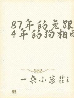 87年的兔跟94年的狗相配吗