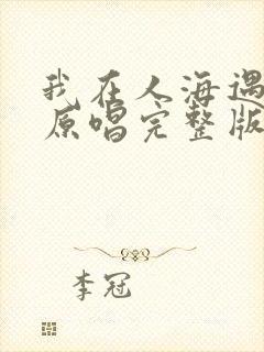 我在人海遇见你原唱完整版