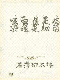 咳白痰是病毒感染还是细菌感染封面