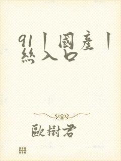 91丨国产丨白丝入口