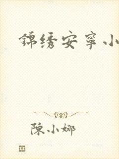 锦绣安宁小说