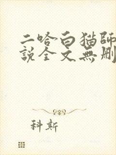 二哈白猫师尊小说全文无删减版下载封面