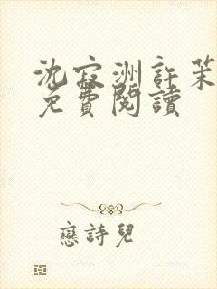 沈寂洲许茉小说免费阅读封面