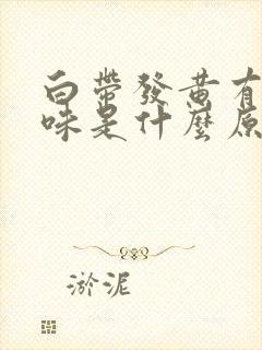 白带发黄有恶臭味是什么原因