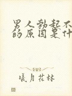 男人勃起不够硬的原因是什么