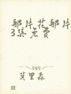 那片花那片海33集免费