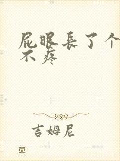 屁眼长了个肉球不疼封面