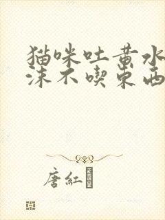 猫咪吐黄水有泡沫不吃东西