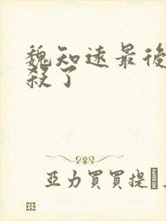 魏知远最后被谁杀了封面