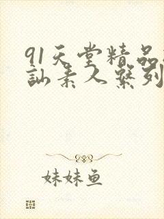 91天堂精品搭讪素人系列