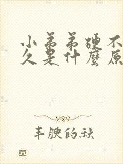 小弟弟硬不了多久是什么原因封面