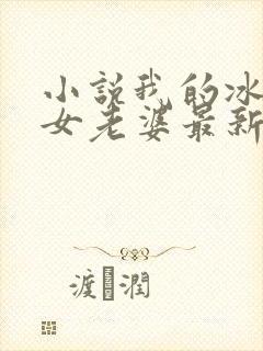 小说我的冰山美女老婆最新章节封面