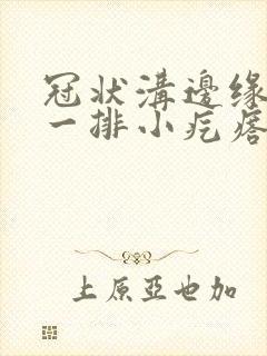 冠状沟边缘长色一排小疙瘩