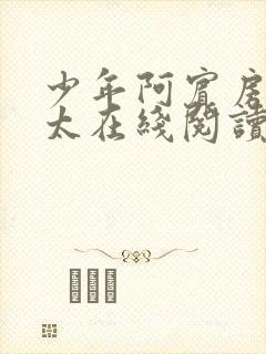 少年阿宾房东太太在线阅读