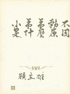 小弟弟勃不起来是什么原因