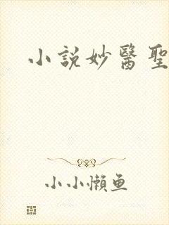 小说妙医圣手