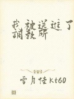 我被送进了私奴调教所