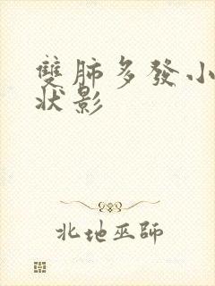 双肺多发小结节状影封面