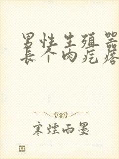 男性生殖器根部长个肉疙瘩封面