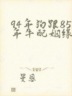 94年狗跟85年牛配姻缘好吗