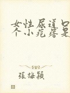 女性尿道口有一个小疙瘩是怎么回事