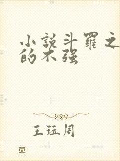 小说斗罗之我真的不强