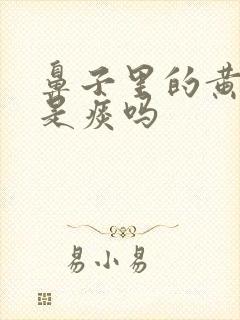 鼻子里的黄鼻涕是痰吗