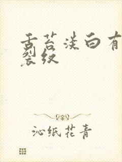 舌苔淡白有齿痕裂纹