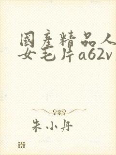 国产精品人妻熟女毛片a62v久久