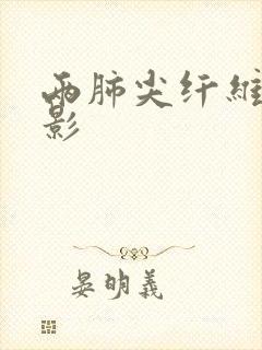 两肺尖纤维索条影