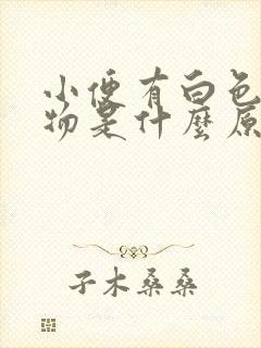 小便有白色浑浊物是什么原因