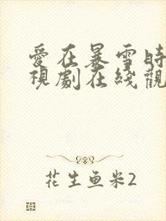 爱在暴雪时分电视剧在线观看免费封面