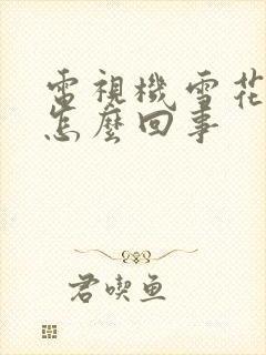 电视机雪花屏是怎么回事封面