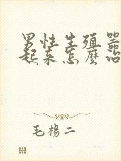 男性生殖器硬不起来怎么治封面