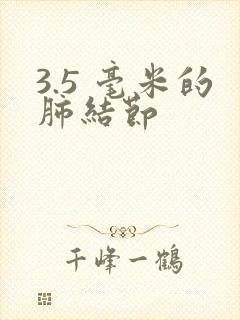 3.5 毫米的肺结节